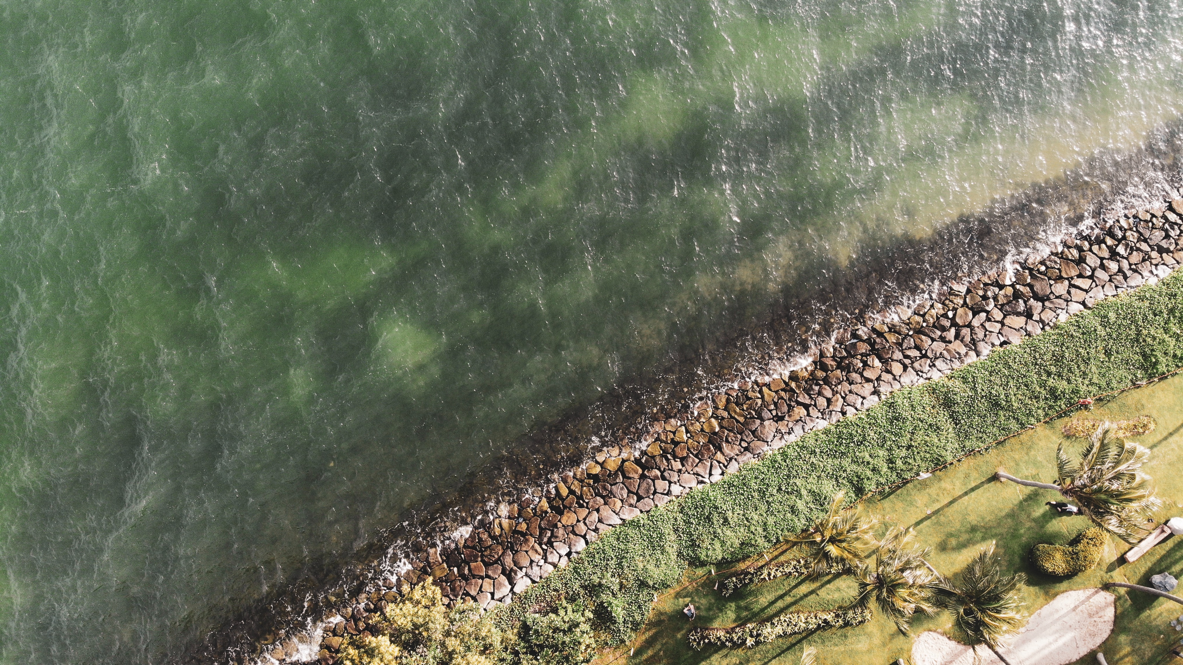 Image from Unsplash by Carles Rabada